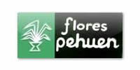 Flores Pehuen