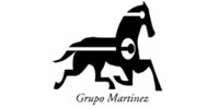 Grupo Martinez Seguros